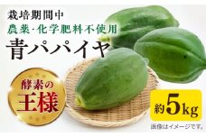 糸島産 青パパイヤ 約5kg 糸島市 / 食と健康のブリッジベース 野菜 タイ料理 [ANN001]
