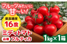 【先行予約】フルティカ 1kg 【2025年10月下旬以降順次発送】　糸島市 / かわぞえ農園 トマト 中玉トマト  [AAM005]
