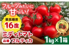 【先行予約】フルティカ 1kg 【2025年10月下旬以降順次発送】　糸島市 / かわぞえ農園 トマト 中玉トマト  [AAM005]