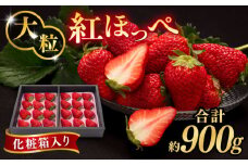 糸島産 紅ほっぺ 800-900g 糸島市 / 平山農園 [AXN001] いちご 苺 べにほっぺ フルーツ 果物