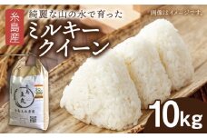 糸島産 ミルキークイーン 10kg  糸島市／糸島王丸農園（ 谷口汰一 ）【いとしまごころ】 米 [AAZ018]