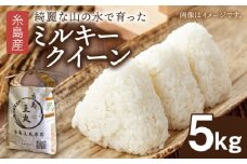 糸島産 ミルキークイーン 5kg 糸島市／糸島王丸農園（ 谷口汰一 ）【いとしまごころ】 米 [AAZ019]