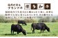 牛肉 霜降り 国産 博多 和牛  黒毛和牛 ロース すき焼き しゃぶしゃぶ