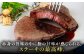 ステーキ ヒレ ヒレ肉 フィレ 牛肉 赤身 黒毛和牛 国産 博多 和牛 おすすめ