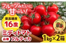 【先行予約】フルティカ 2kg (1kg×2箱)【2025年10月下旬以降順次発送】 糸島市 / かわぞえ農園 [AAM006] トマト フルーツトマト