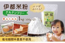伊都 米粉 笑みたわわ 1kg 500g×2 糸島市 / フルタク [AHN008]  グルテンフリー 米