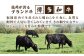 牛肉 切り落とし 国産 博多 和牛 黒毛和牛 スライス A5ランク 1kg 