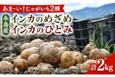 糸島育ちのジャガイモ 2種食べ比べ インカのめざめ インカのひとみ 各1kg・計2kg  糸島市 / 糸島ボンテール農園 [ACO012]