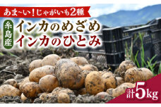 糸島育ちのジャガイモ 2種食べ比べ インカのめざめ/インカのひとみ 各2.5kg・計5kg  糸島市 / 糸島ボンテール農園 [ACO013]