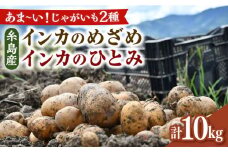 糸島育ちのジャガイモ 2種食べ比べ インカのめざめ インカのひとみ 各5kg・計10kg  糸島市 / 糸島ボンテール農園 [ACO014]