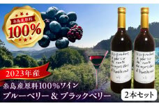 2023年産 糸島産ブルーベリー・ブラックベリーワイン 720ml×2種セット 糸島市 / HYM FARM ワイン ブルーベリー [AHM002]