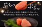 明太子 めんたいこ たらこ タラコ 辛子明太子 辛子めんたいこ 博多明太子 博多
