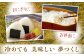 米 白米 夢つくし ごはん 飯 ライス 自炊 おにぎり 5kg 20kg 三ツ星 お米マイスター 精米 粒感 ギフト 贈答用