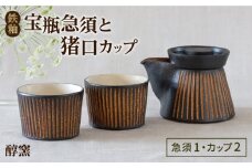 鉄釉 宝瓶急須と猪口カップ 2個セット 糸島市 / 醇窯 セット カップ [AOE010]
