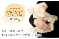 パトランミニ・ナチュラル 糸島市 / 科学工房未来 犬 ペット ぬいぐるみ [AYI007] いぬ 動物