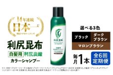 【ブラック】【全6回定期便】［白髪用］利尻炭酸カラーシャンプー 糸島市 / 株式会社ピュール ヘアケア シャンプー [AZA049-2]