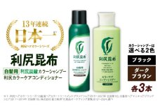 【ダークブラウン】【色が選べる！6本セット】［白髪用］利尻炭酸カラーシャンプー＋利尻カラーケアコンディショナー 糸島市 / 株式会社ピュール ヘアケア コンディショナー [AZA056-1]