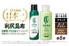 【ダークブラウン】【色が選べる！10本セット】［白髪用］利尻炭酸カラーシャンプー＋利尻カラーケアコンディショナー 糸島市 / 株式会社ピュール ヘアケア コンディショナー [AZA058-1]