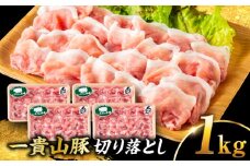 一貴山豚 切り落とし 計1kg(250g×4p)  糸島市 / いきさん牧場 豚肉 冷凍 [AGB057]