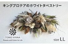 キングプロテアのホワイトタペストリー（LLサイズ） 糸島市 / tokohana ドライフラワー アレンジ [AOC043]