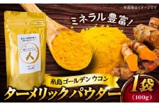 糸島ゴールデンウコン 粉末 100g 糸島市 / 翼宿糸島食悦 秋ウコン ターメリック [AJO001]