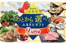 【あとから選べる】糸島市ふるさとギフト 9万円分 糸島  後から選べる ふるさと納税後から [AZZ008]