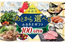 【あとから選べる】糸島市ふるさとギフト 100万円分 コンシェルジュ 糸島  後から選べる ふるさと納税後から [AZZ011]