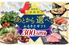 【あとから選べる】糸島市ふるさとギフト 300万円分 コンシェルジュ 糸島  後から選べる ふるさと納税後から [AZZ014]