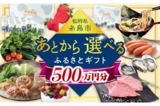 【あとから選べる】糸島市ふるさとギフト 500万円分 コンシェルジュ 糸島 後から選べる ふるさと納税後から [AZZ016]