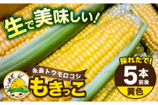 【先行予約】糸島産 トウモロコシ 「もきっこ」 黄 (5本前後) 【2026年6月下旬以降順次発送】糸島市 / 内田農業 とうもろこし コーン [AZH004]
