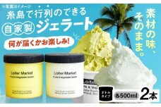 行列のできる アイスクリーム 屋 ジェラート ボトル2個 アイス 食べ比べ ギフト スイーツ プレゼント 糸島市 / LoiterMarket ロイターマーケット [AGD040]