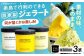 アイス アイスクリーム ジェラート