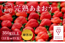 【先行受付】【数量限定】完熟あまおう・贈答用 12玉または15玉 【2026年1月より順次発送】糸島市 / slowberry strawberry [APJ009]
