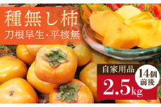 【糸島の種無し柿】刀根早生・平核無 自家用品 2.5kg 糸島市 / 二丈赤米産直センター 果物 秋 [ABB030]