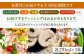 ドレッシング セット ボトル ギフト 無添加 人気 野菜 にんじん