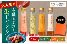 【先行予約】期間限定【贈答用】糸島野菜を食べる生ドレッシング 4本セット あまおう・人参・玉ねぎ・ルッコラレモン  【2026年1月以降順次発送】 糸島市 / 糸島正キ [AQA096]