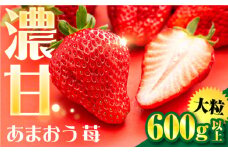 【先行予約】【化粧箱】あまおう いちご600ｇ以上 【2026年1月以降順次発送】 糸島市 / 株式会社フルコンス [ALO001]