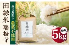 【先行受付】田縁米(でんえんまい)・瑞梅寺(ずいばいじ) 白米 5kg 【2025年11月下旬以降順次発送】 糸島市 / NPO法人田縁プロジェクト 米 白米 [ATM004]