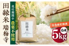 【先行受付】【全6回定期便】 田縁米(でんえんまい)・瑞梅寺(ずいばいじ) 白米 5kg 【2025年11月下旬以降順次発送】 糸島市 / NPO法人田縁プロジェクト 米 白米 [ATM007]