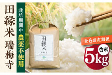 【先行受付】【全6回定期便】 田縁米(でんえんまい)・瑞梅寺(ずいばいじ) 白米 5kg 【2025年11月下旬以降順次発送】 糸島市 / NPO法人田縁プロジェクト 米 白米 [ATM007]