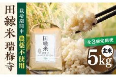 【先行受付】【全3回定期便】 田縁米(でんえんまい)・瑞梅寺(ずいばいじ) 玄米 5kg 【2025年11月下旬以降順次発送】 糸島市 / NPO法人田縁プロジェクト 米 玄米 定期便 [ATM008]