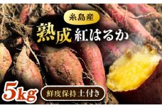 【訳あり】 糸島産 紅はるか 約5kg さつまいも 糸島市 / エムアイ・ソリューション [AVO001]