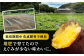 紅はるか サツマイモ さつまいも 芋 いも 野菜 焼き芋 スイーツ 九州 糸島