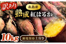 【訳あり】 さつまいも 紅はるか 約10kg 土付き 無選別 福岡県糸島産 糸島市 / エムアイ・ソリューション [AVO002]