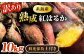 紅はるか サツマイモ さつまいも 芋 いも 野菜 焼き芋 スイーツ 九州 糸島