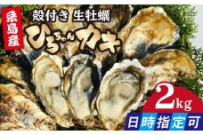 【日時指定可】加熱用 殻付き牡蠣 2kg 牡蠣 生カキ 殻付き カキ 生牡蛎 糸島市 / ひろちゃんカキ [AJA021]