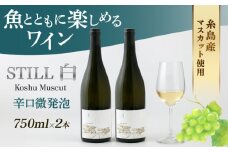 【糸島マスエワイナリ】STILL 白 Koshu Muscut 2本 糸島市 / いとしのいとしま [AEP002]