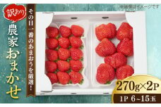 【農家直送！】 農家おまかせ訳あり 270g×2パック 糸島市 / みのりのりん [ABD004]