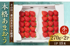 【先行予約】【農家直送！】 あまおう 小サイズ 270g×2パック 【2026年1月以降順次発送】糸島市 / みのりのりん [ABD005]