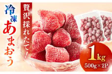【農家直送！】 冷凍あまおう 1kg（500g×2パック）いちご 苺 糸島市 / みのりのりん [ABD006]